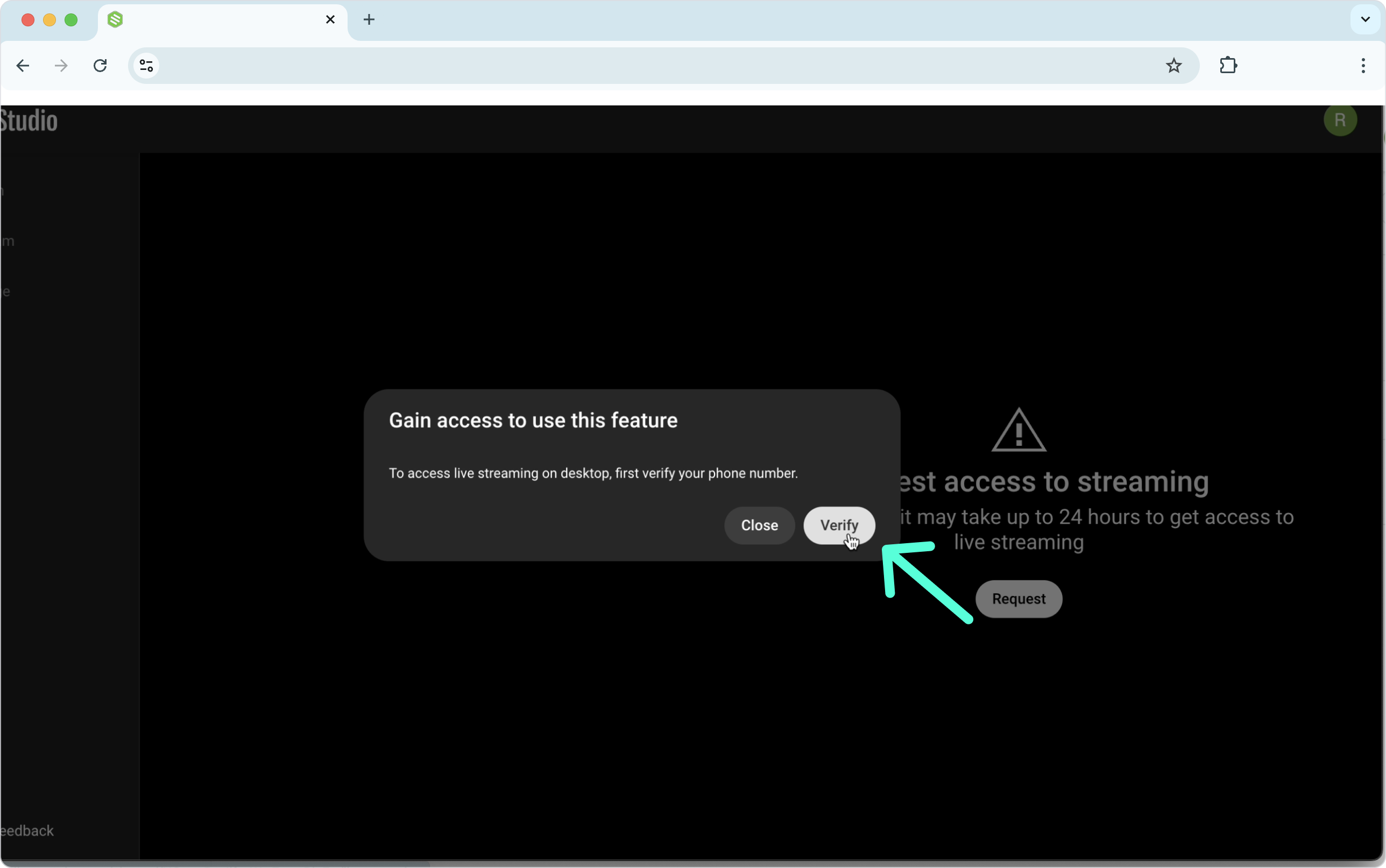 EnableLivestreaming_YouTube 4.png